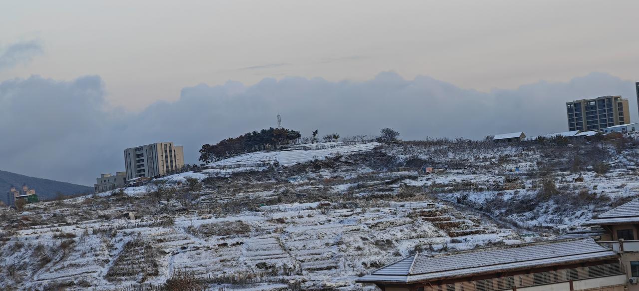 雪后的烟台
      昨天下了一天的雪，今天早晨，雪后的早晨，银装素裹，山上的