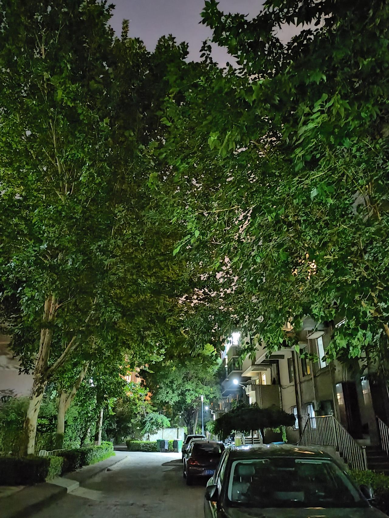 夜幕下的居民小区，星星点点的灯火，照亮了黑夜的天空。