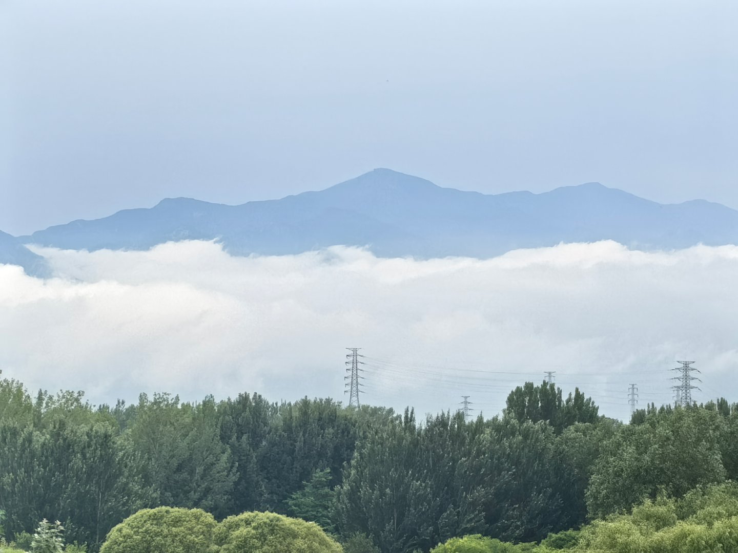 延庆这里确实温度要低一些。不过不凑巧这两天都下雨，导致空气挺闷。在凉爽和闷热之间