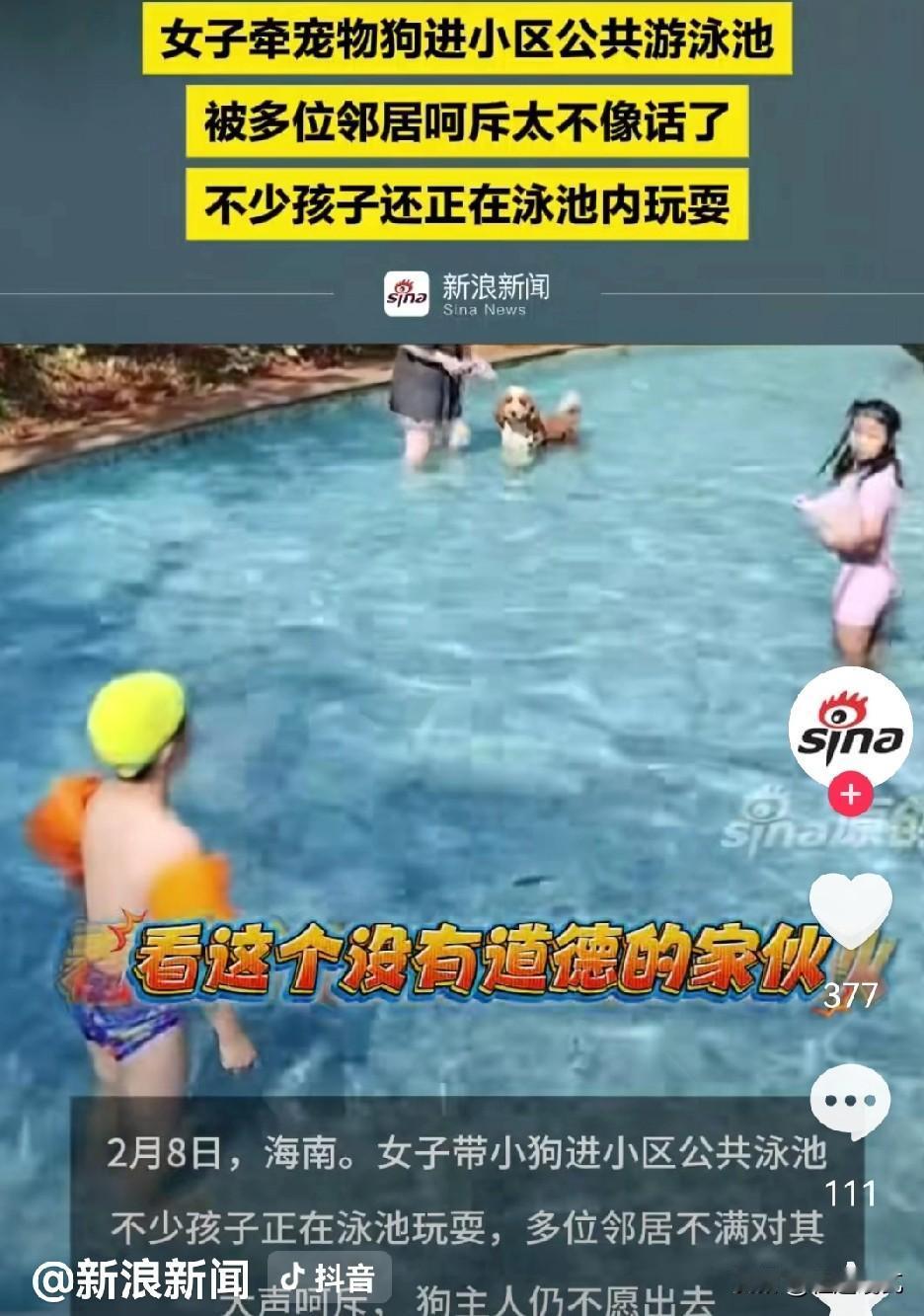 这次可算长记性了，
三亚那个在泳池给狗搓澡的女租户，终于收到了2万多的赔偿单。