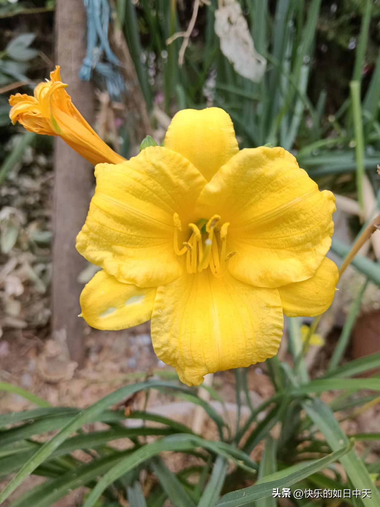 1、睡眠要好，多吃百合
2、牙齿要好，多吃香蕉
3、皮肤要好，多吃番茄
4、肠道