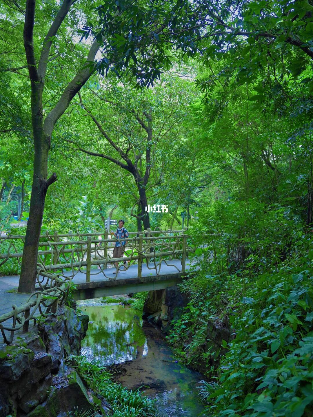 在广州市区走过最舒服的徒步路线