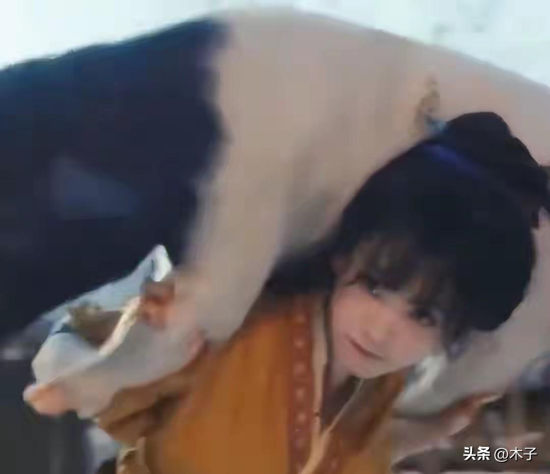 田曦薇在《逐玉》里扛的半头猪，被观众认出来了，这事比她的新角色还有意思。
 
最