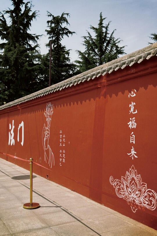 法门寺归来，8条忠告