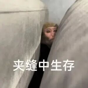 问一个你想问的问题，再挑喜欢的问题回答一下 