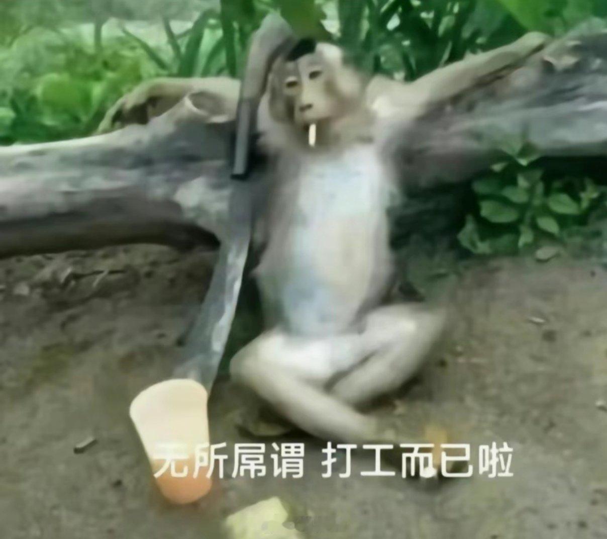 粤鹏举 近日，苏州推出一项针对外卖骑手的交通治理新举措：通过打通交通信号灯数据与