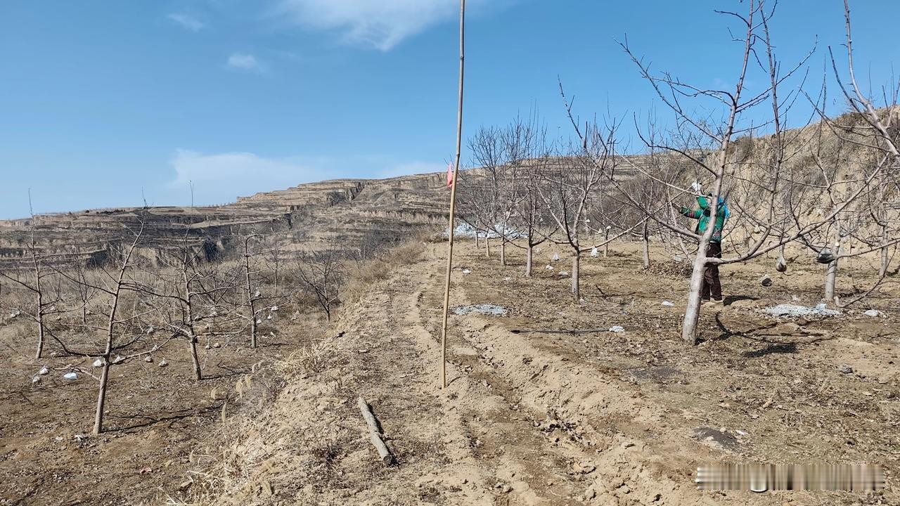 农民种地，靠天吃饭。