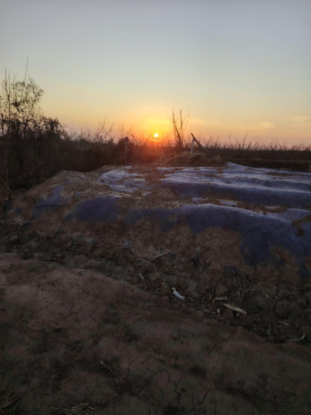 谁有夕阳的照片可以分享一下吗日落夕阳美景