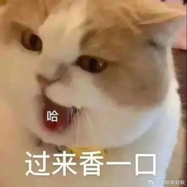 大吉胡咧咧 如珠似宝81结果赵宝珠被大师兄二话不说直接带回住的地方，中午饭都不吃