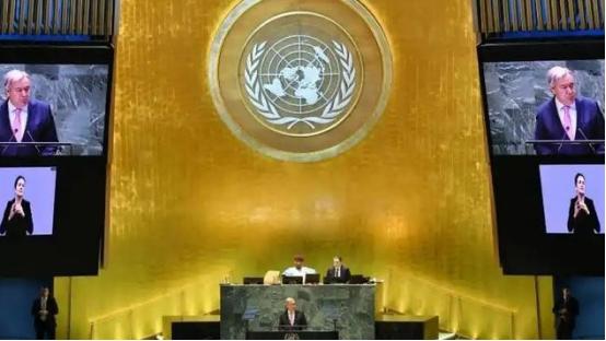 报仇不隔夜！以议员狂挺台湾谋入世，中国反手力挺巴建国，一招直击以色列死穴

麻烦