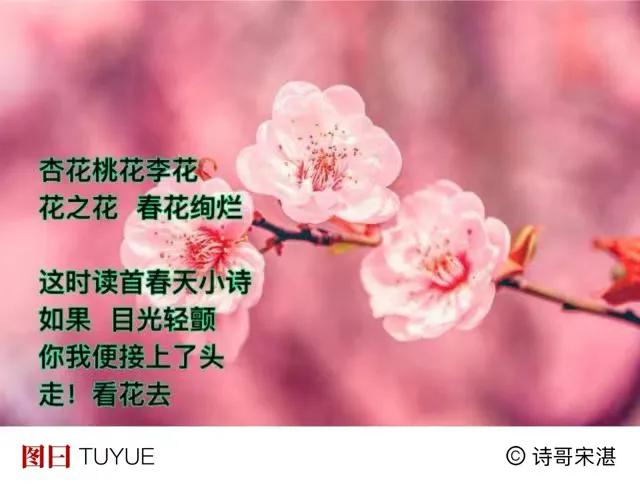 美好故事发生
在四月格外生动
有小草小花
有东风温柔拂面
．
你我早起看了花
一