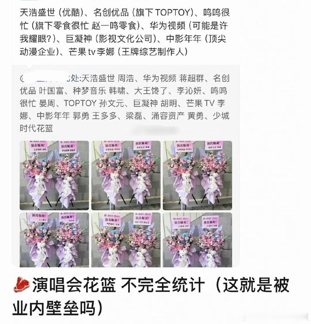 赵露思演唱会捧场的业内这么多不服憋着🫤 