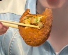 【4862】被饼咬过的东西也会沾上呆气 