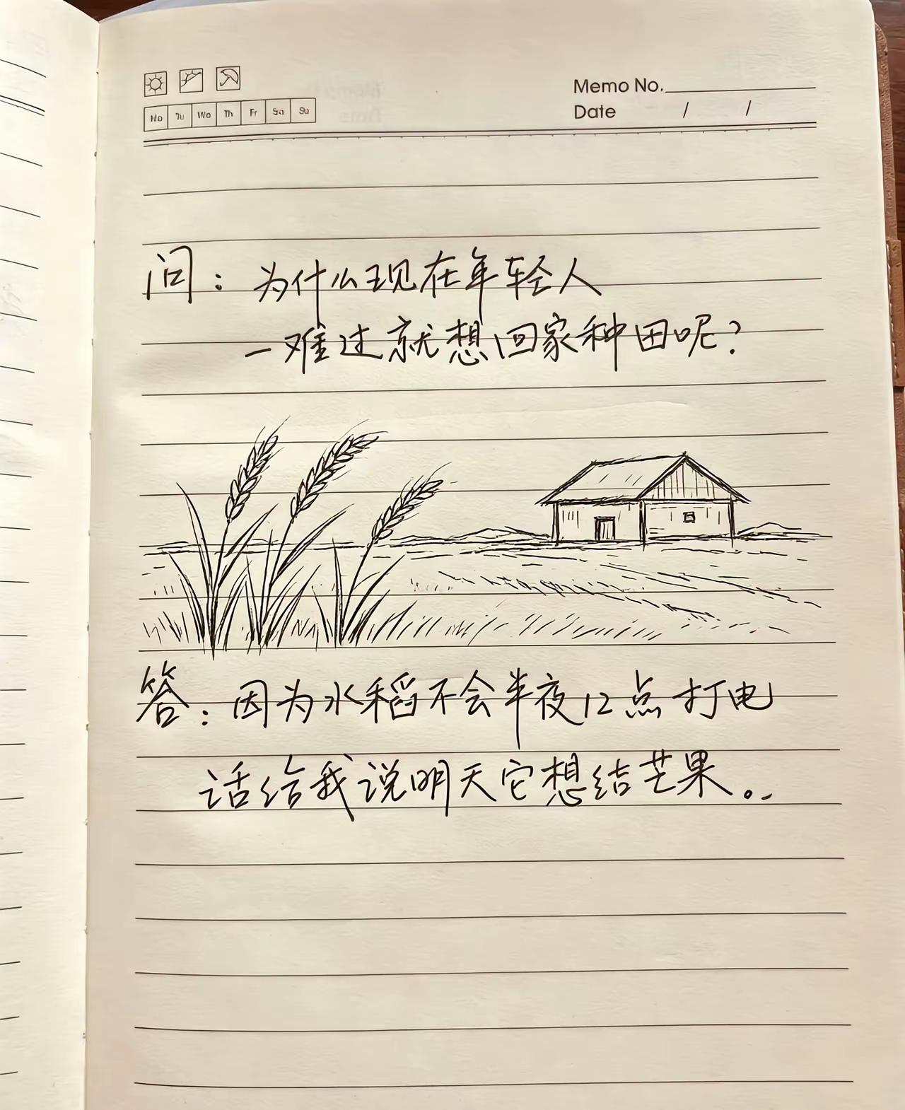说的绝对没毛病。