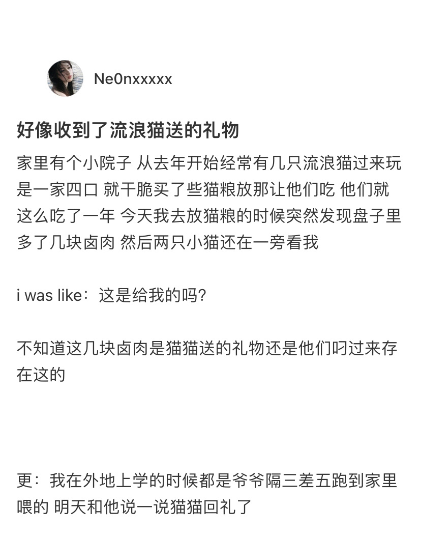 收到了流浪猫送的礼物原来聪明的小猫什么都懂[苦涩] ​​​