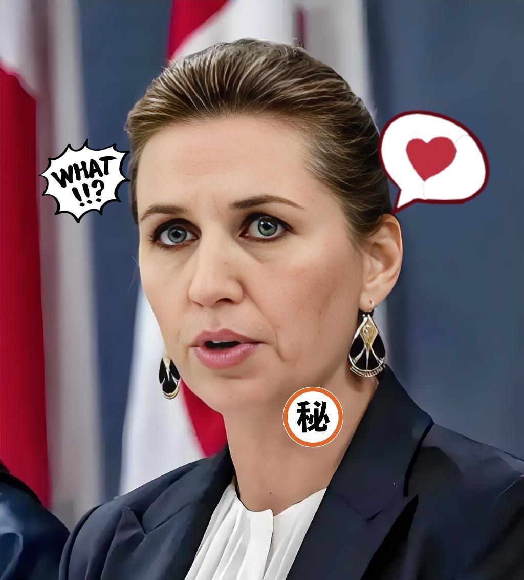 就在刚刚
 
欧盟轮值主席国丹麦突然宣布了。
 
用利息钱给乌克兰送装备，关注点