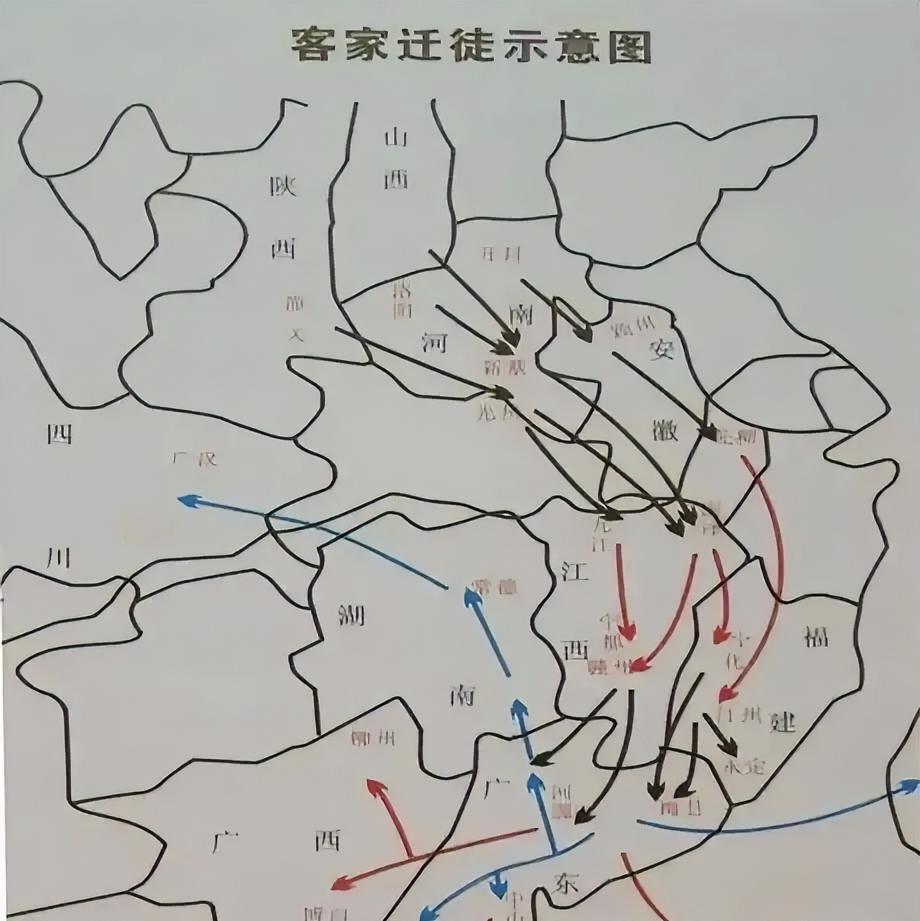 咸丰四年的珠江三角洲，暑气裹挟着血腥味弥漫在空气中。新会县礼义乡的稻田尚未收割，