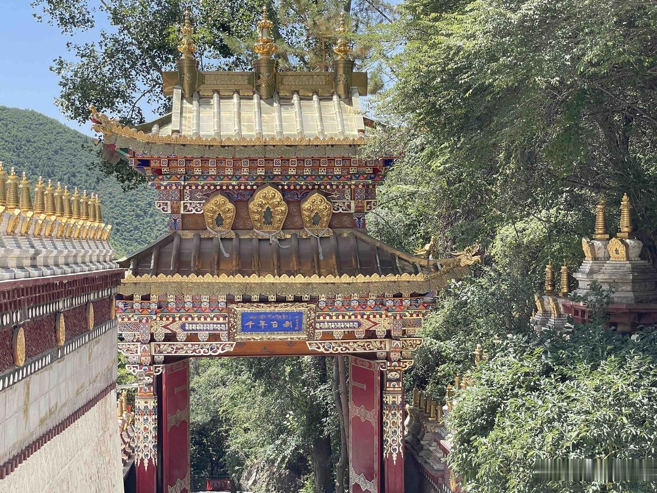 兰州轻旅居日常
生有热烈，藏有俗常
往来自在，此去更好
随手拍