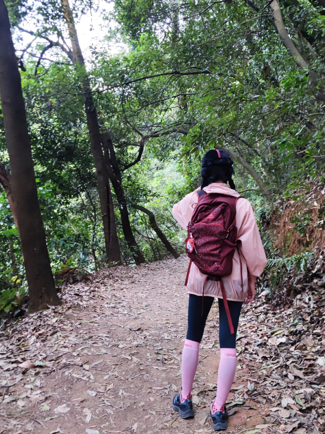 2024热辣滚烫⛰️坚持锻炼去户外多徒步勤爬山