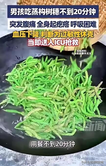 “悲剧还是发生了！”河南许昌，一男子带儿子去饭店吃饭，点了一份蒸构树穗，不料，吃