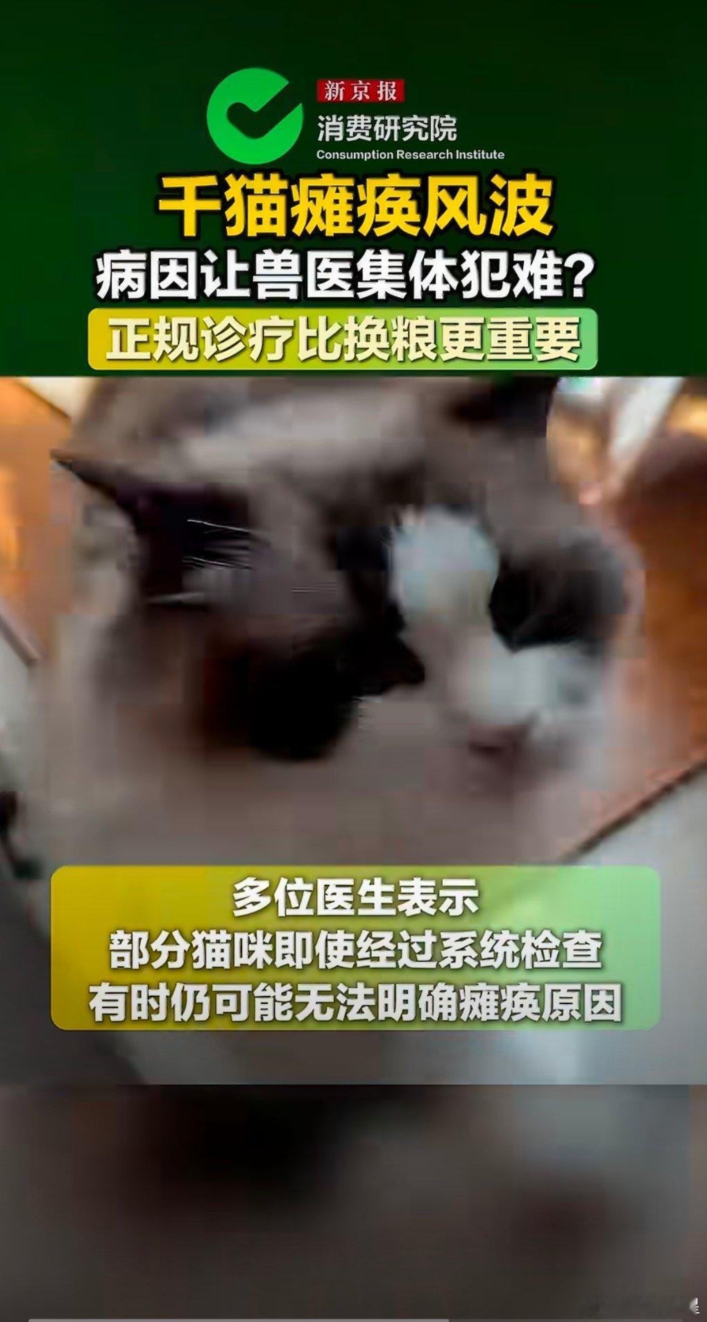千猫瘫痪多地医院真相调查别再轻信网传猫粮致瘫说法，患病猫咪喂食的品牌跨度极大，不