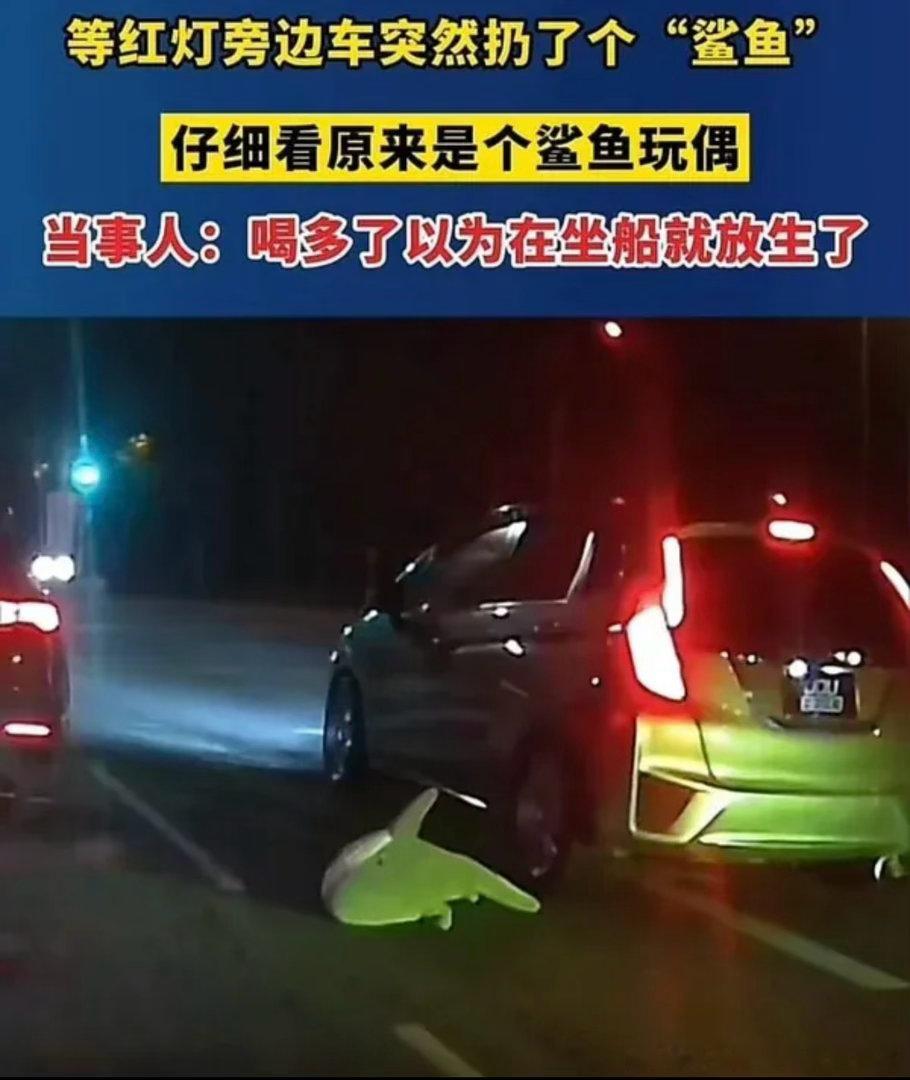6796放生鲨鱼 ​​​