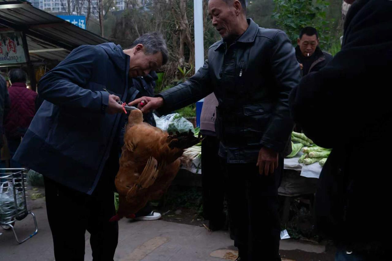 新年生活图鉴谈鸡论价