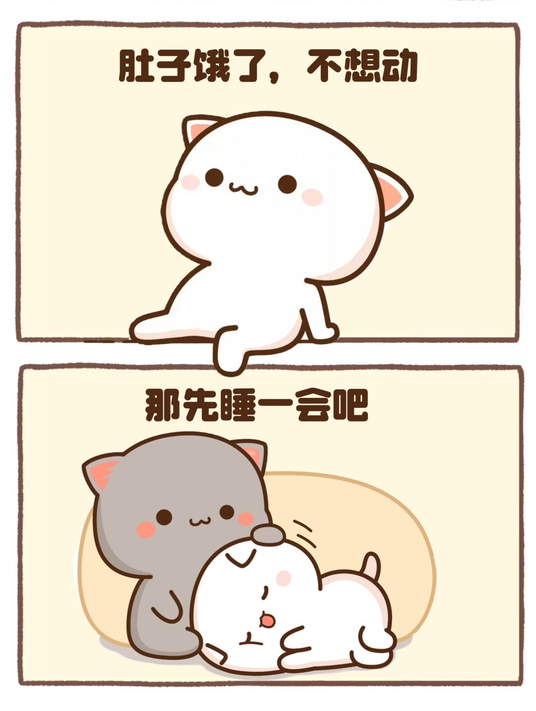 蜜桃猫：饿了，那睡会儿吧～