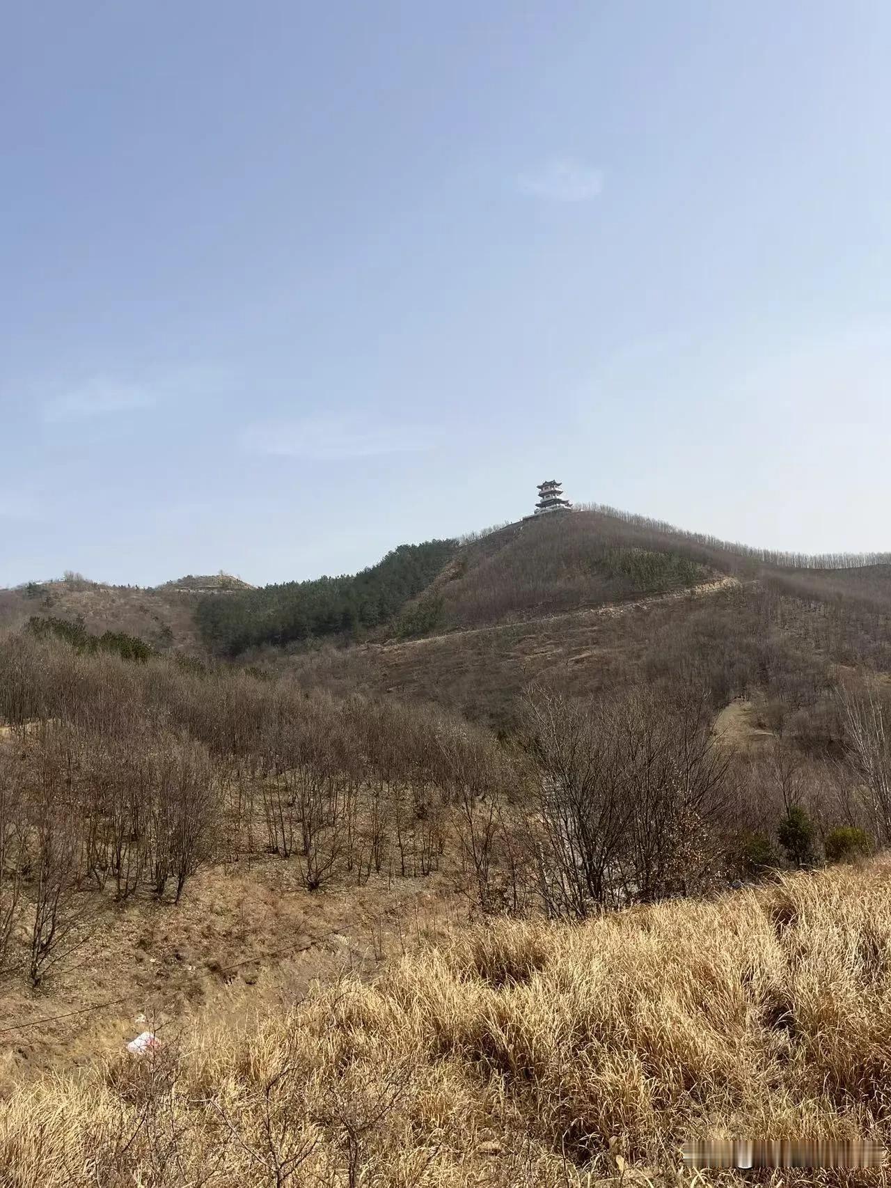 年假最后几天，不想去景区人挤人，索性带娃去家附近的野山走走。
 
出发前还担心娃