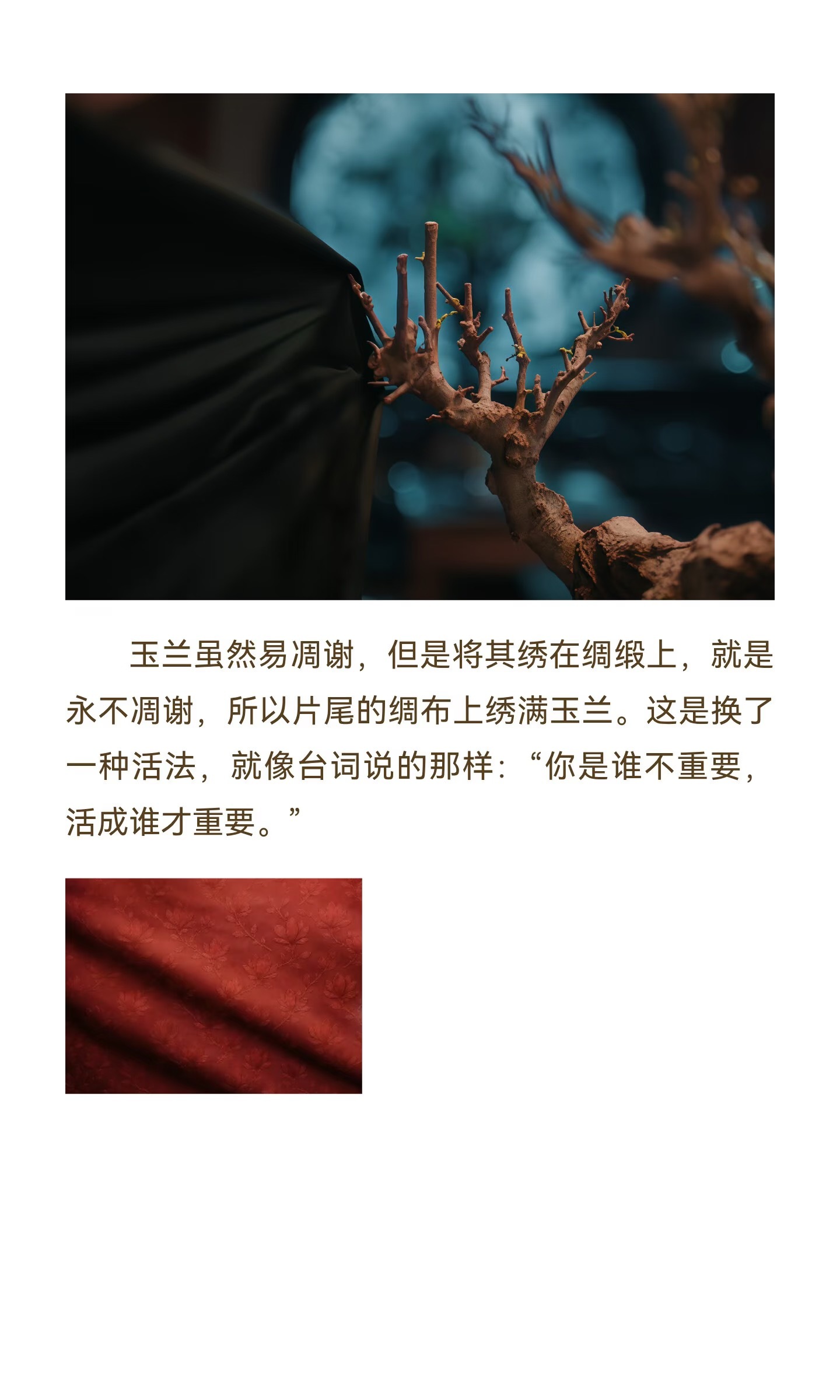 《花开锦绣》剧情解析③——玉兰与花朝节丁禹兮说这是05花丁禹兮  专栏 · 《花