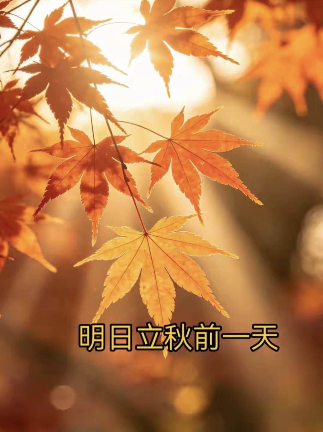 不是迷信！明日立秋前一天，最不能做的5件事，记得告知家人！

 2026年8月6