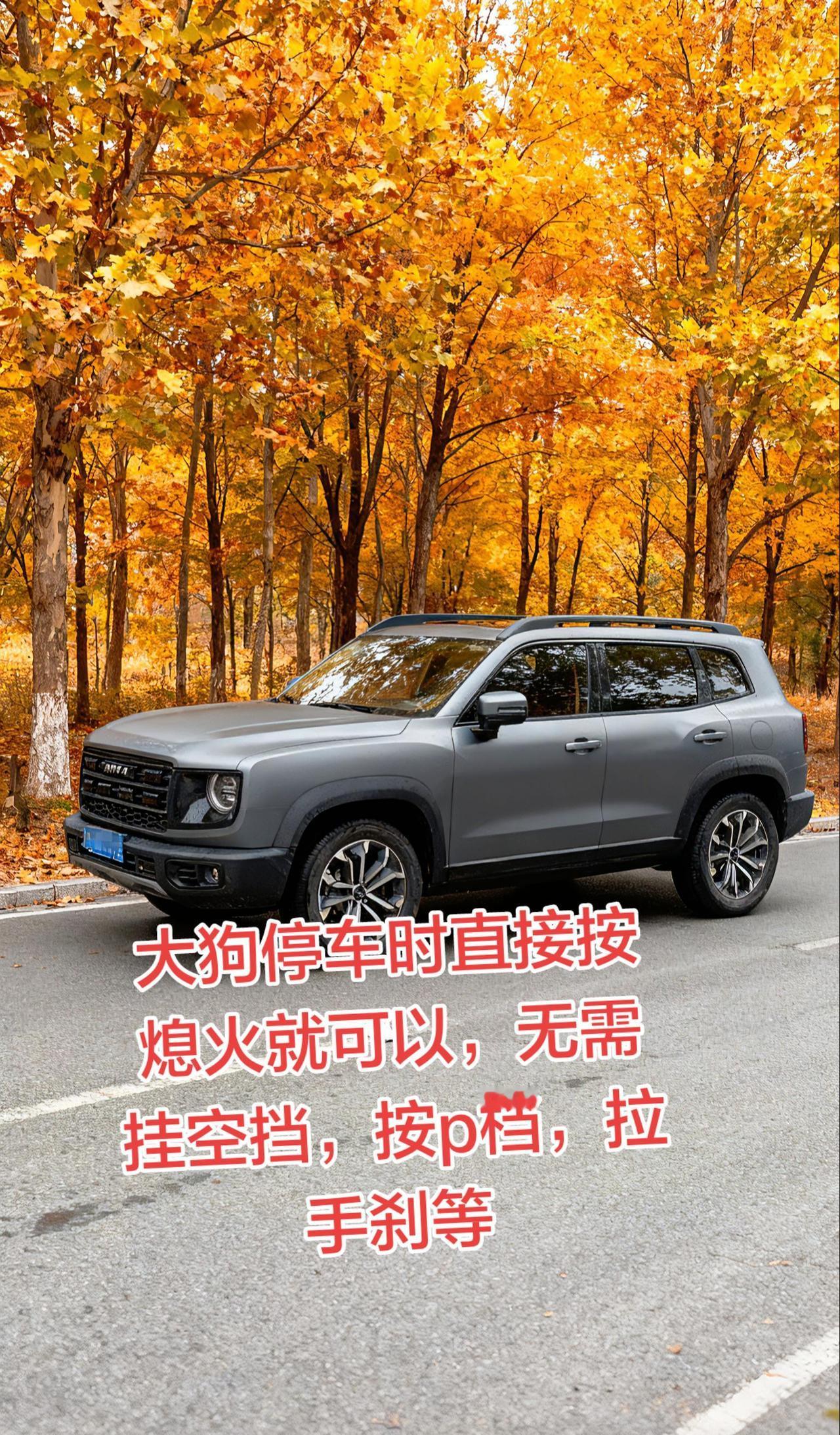 10多万的车就这么智能，停车时直接D档熄火就可以，它自动挂p档，拉手刹