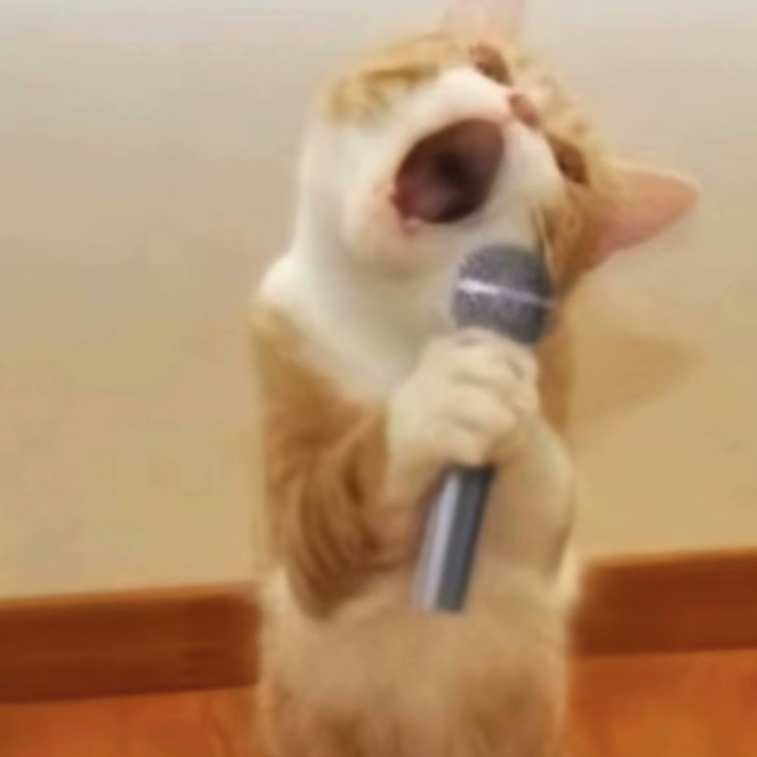 大家去KTV必点的歌是： ​​​