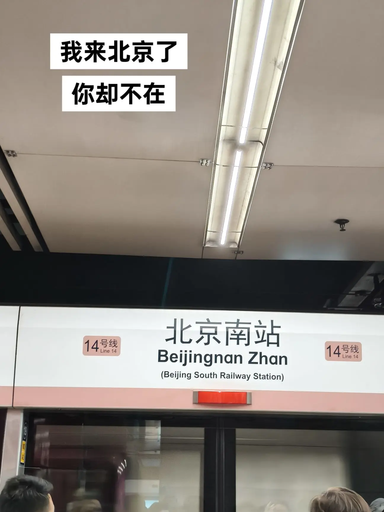 小凯啥时候回京啊