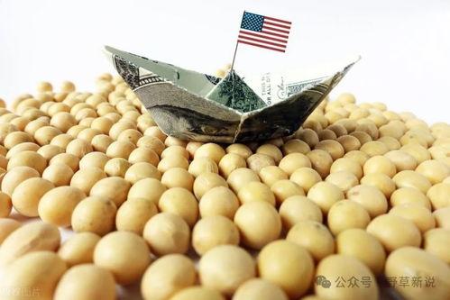 改善贸易关系：重启中美贸易谈判，取消不合理关税，恢复中国这一重要出口市场，这是快