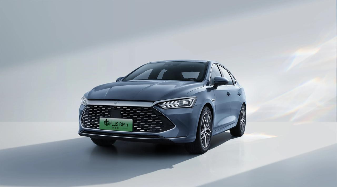2024款DM-i 荣耀版55KM领先型，车辆行驶几个月后出现原地或低速打方向有