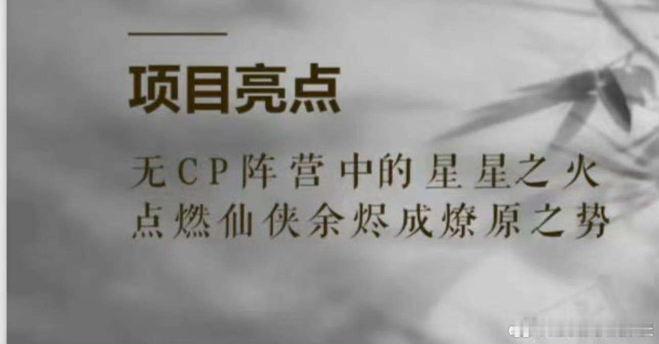 王鹤棣《咸鱼飞升》项目ppt，明确了无CP ​​​