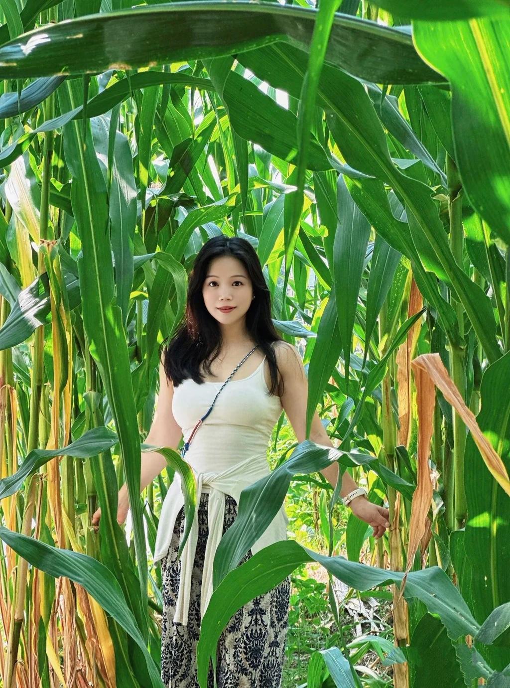 玉米地，细化吗？
多么富有农村气息的场景