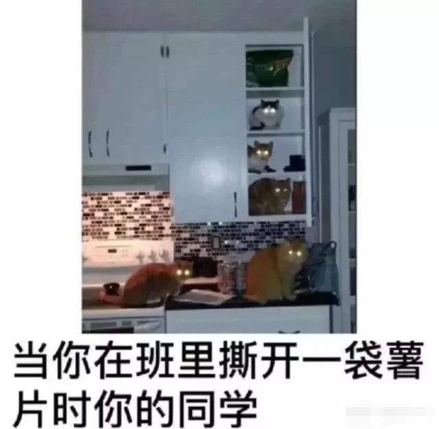 当你撕开一袋薯片哈哈哈哈搞笑图片梗图合集