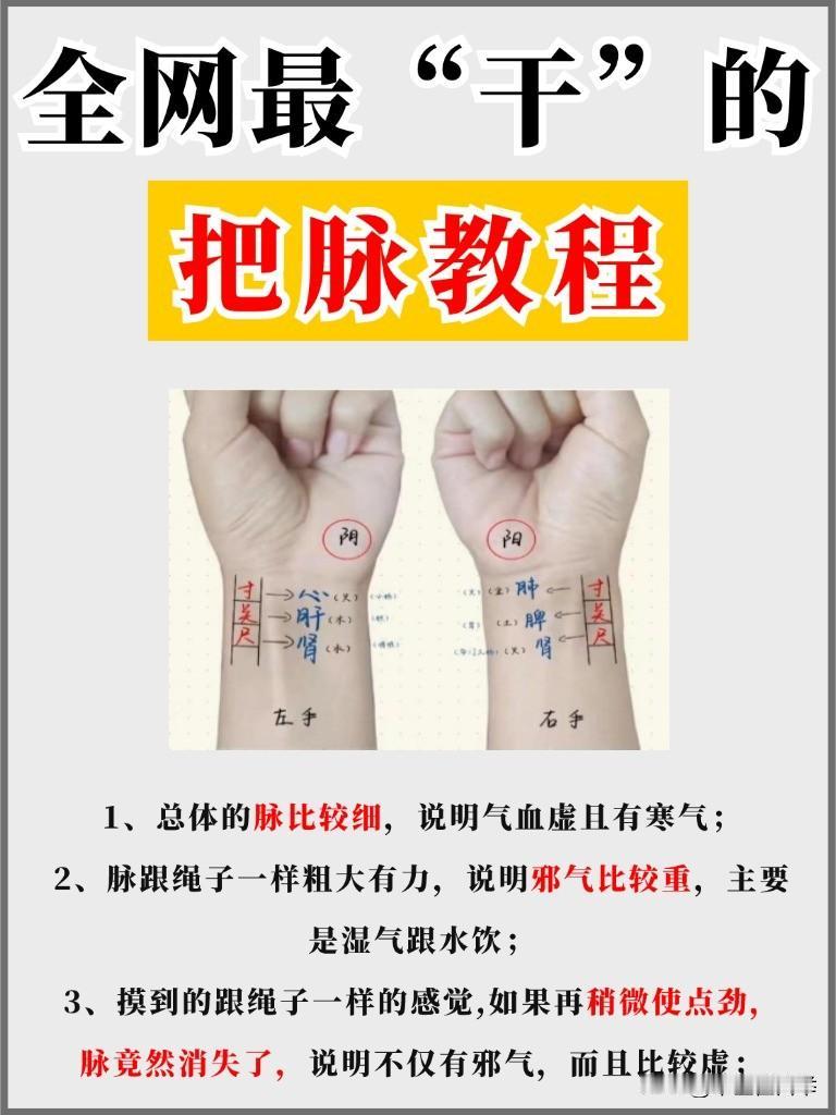 中医到底是怎么把脉的？分析最全把脉“教程”，三分钟教会你，让把脉不再神秘！