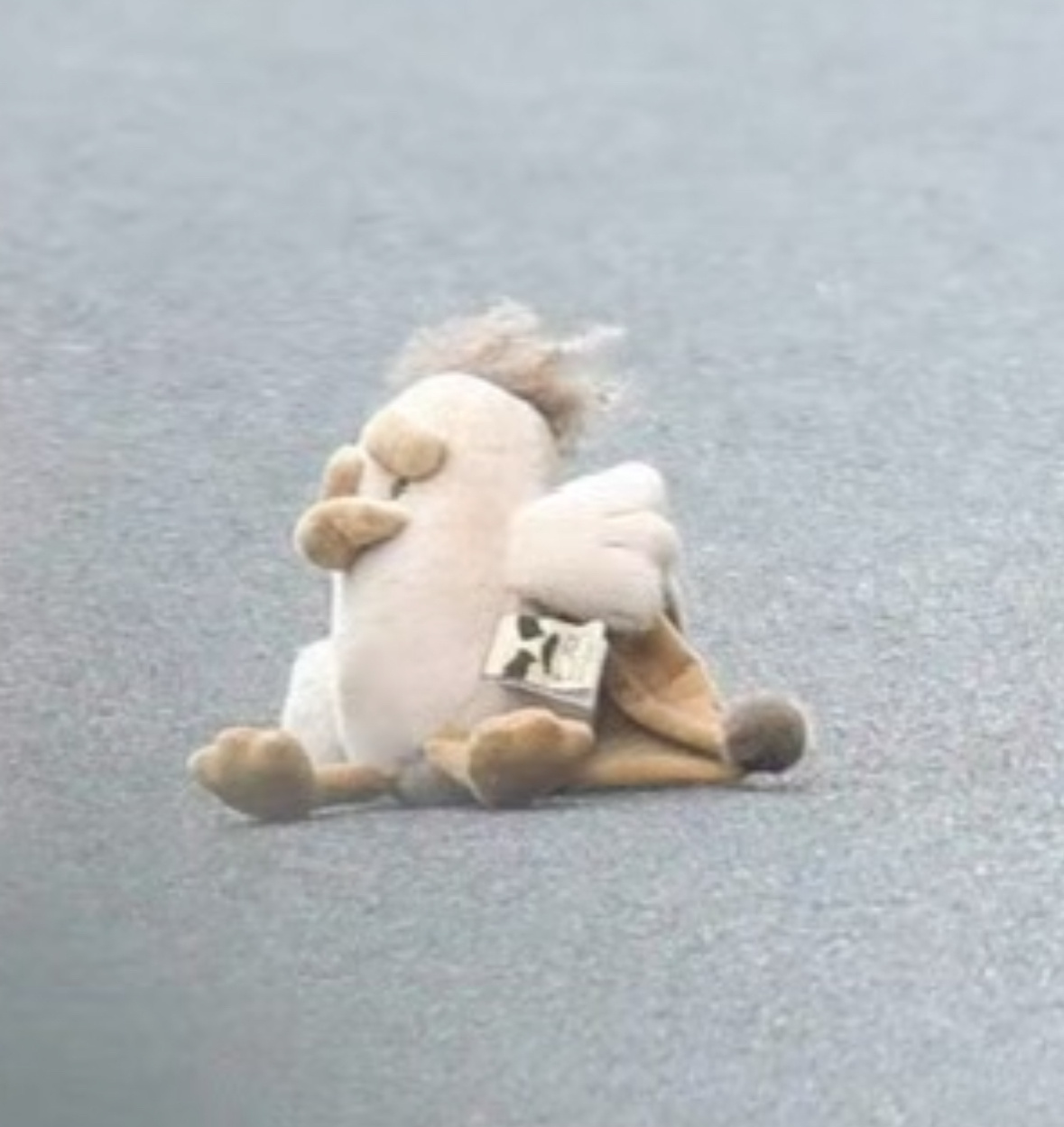 ：麻麻 你看看我啊 