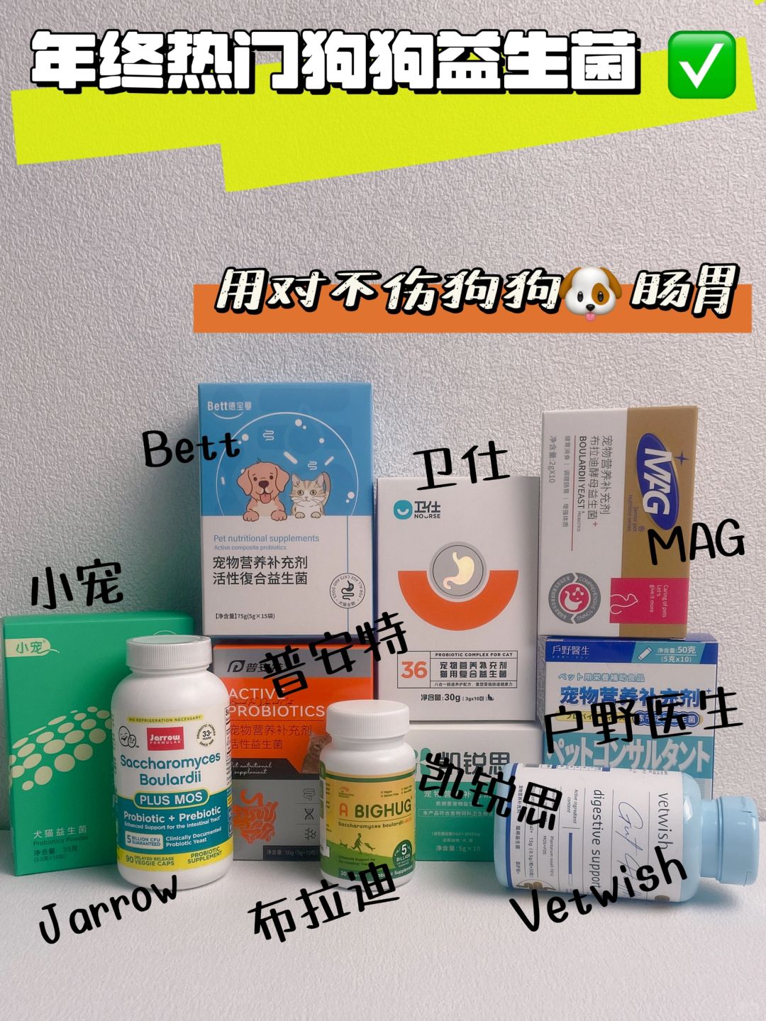 年底了！这些狗狗益生菌还是被我避雷了❗