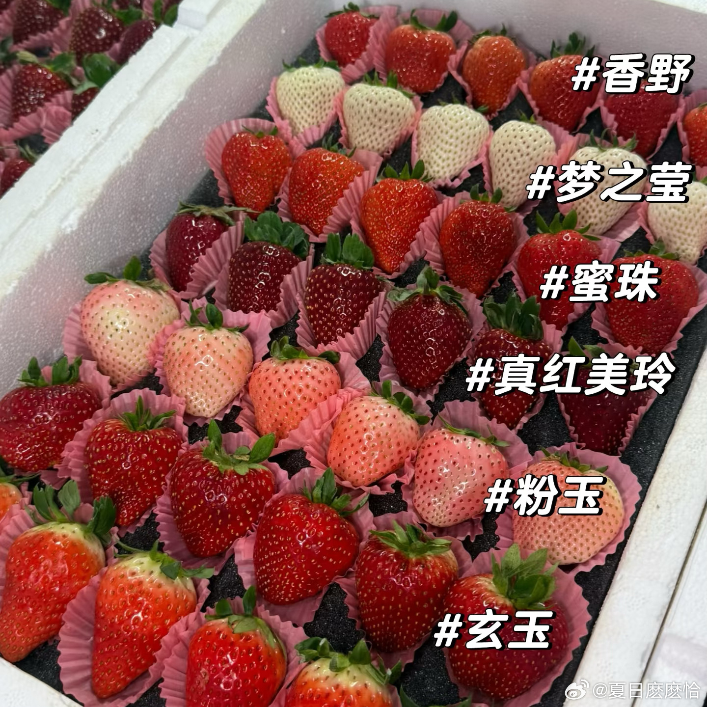 草莓价格大大大跳水爱吃草莓🍓的有福啦～价格直穿地心年前还几十块一斤，现在几块钱