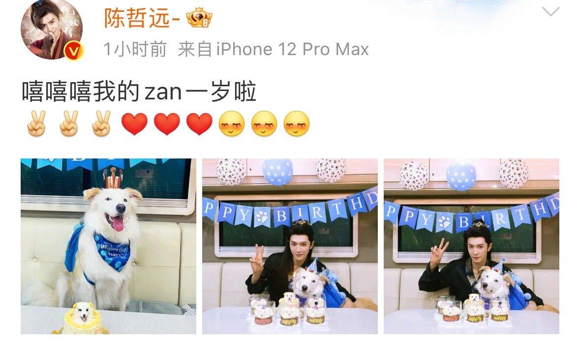 #陈哲远给zan庆生#陈哲远给小阿zan庆生！大可爱和小可爱！zan口水要流出来