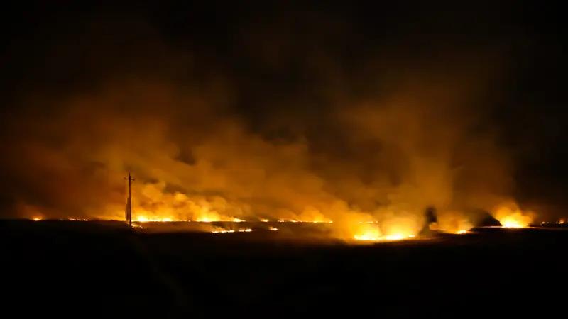 中蒙边境突发入境草原火情，这事儿可太让人揪心了。草原一旦起火，那火势蔓延起来特别