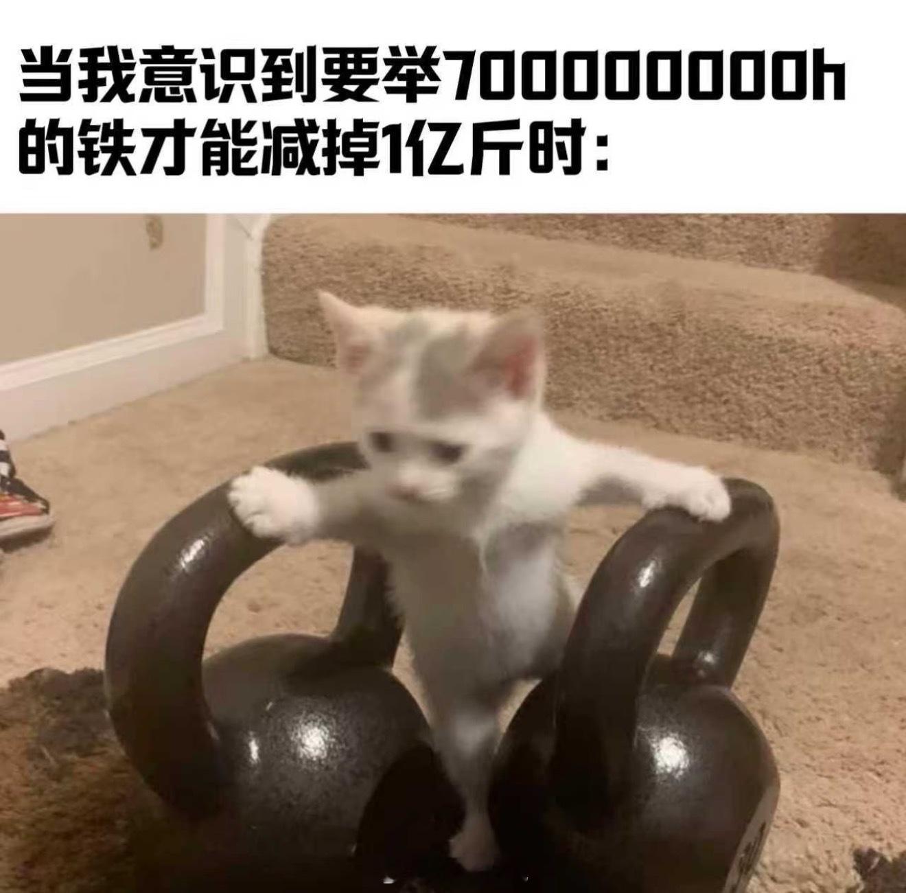 人类减肥1亿斤对火星移民影响有多大网友喊话马斯克火星移民前先减重体重超标可愁坏我