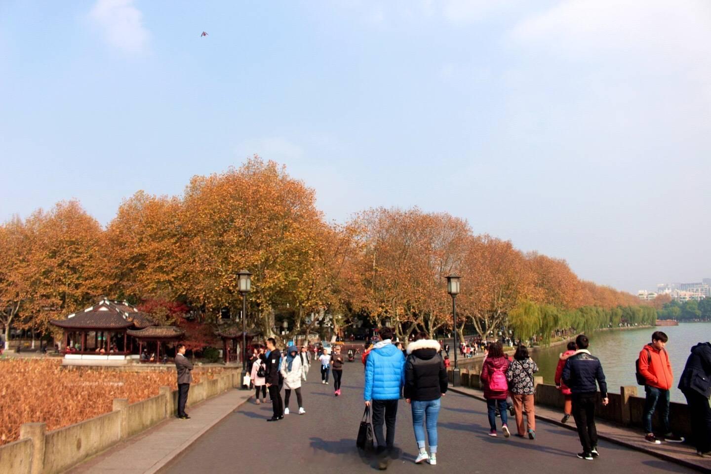 50天后是除夕岁律更新，时序渐进，50天后迎除夕。愿烟火映团圆，新岁启安康。众彩