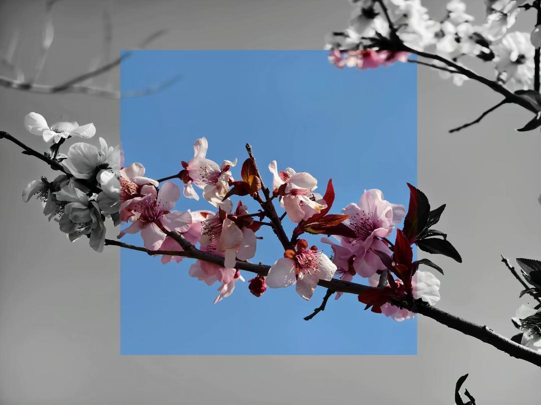 “时间会冲淡一切，但记忆总能掀起波澜”