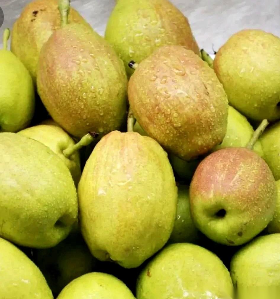 刚撕开那层纸，一箱库尔勒香梨，个个精致得像工艺品。
我拿到水龙头下面，准备冲一下