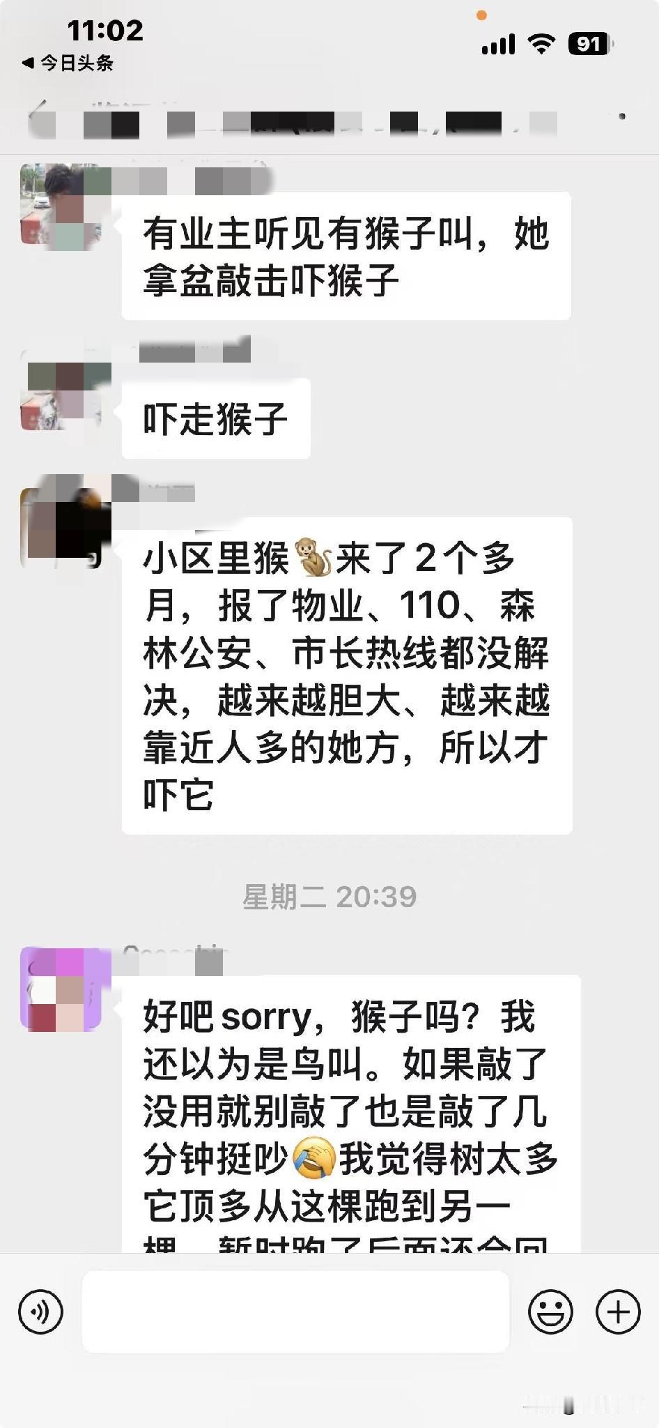 西双版纳的朋友说:两只猴子窜进小区一两个月了，怎么也撵不走，烦死了——
 
一两